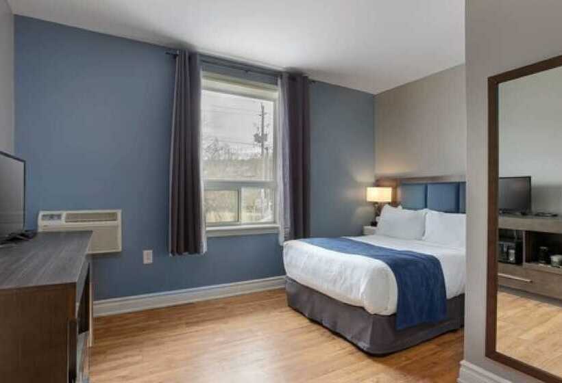 فندق Picton Harbour Inn