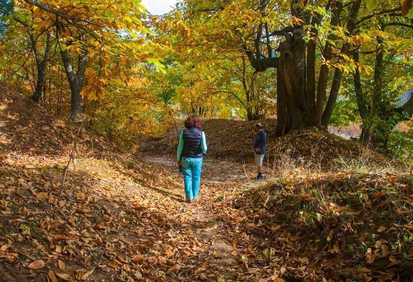 فندق Torrhebia Dag Evi