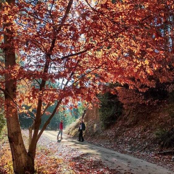 فندق Torrhebia Dag Evi