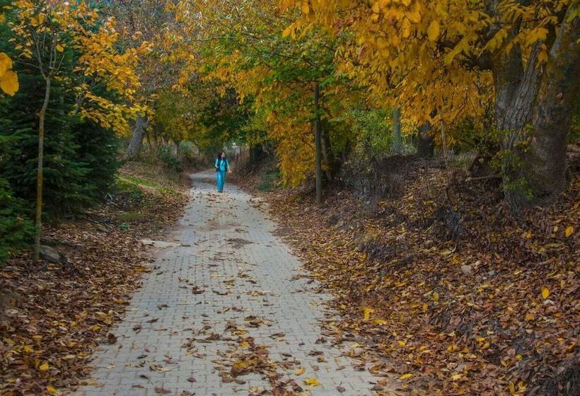 فندق Torrhebia Dag Evi