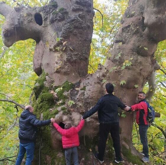 فندق Torrhebia Dag Evi