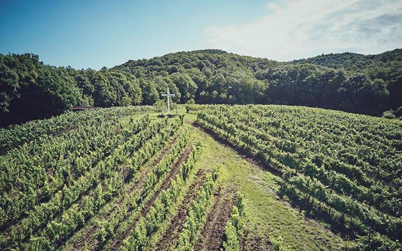 Отель Vinopresso Gmbh Café Römer