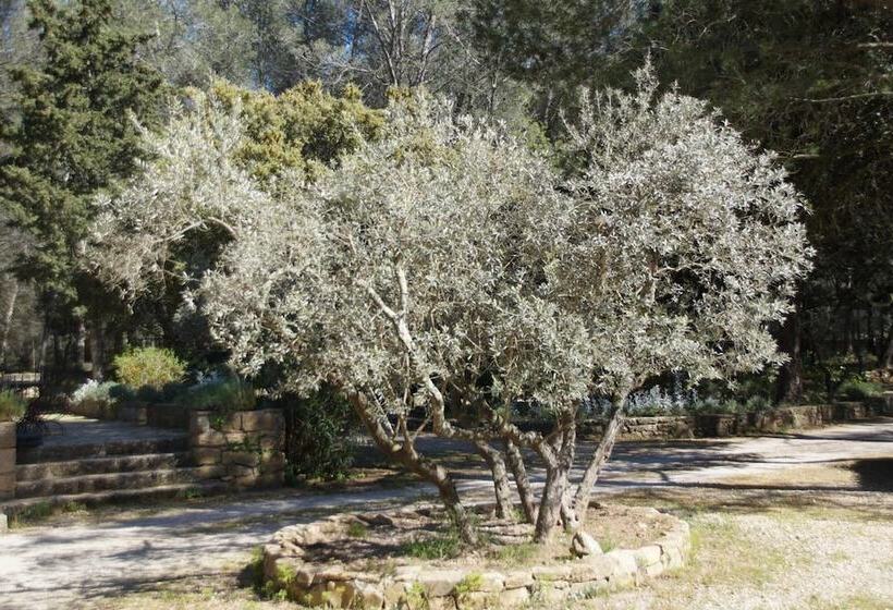 אתר נופש Le Domaine D Alezen