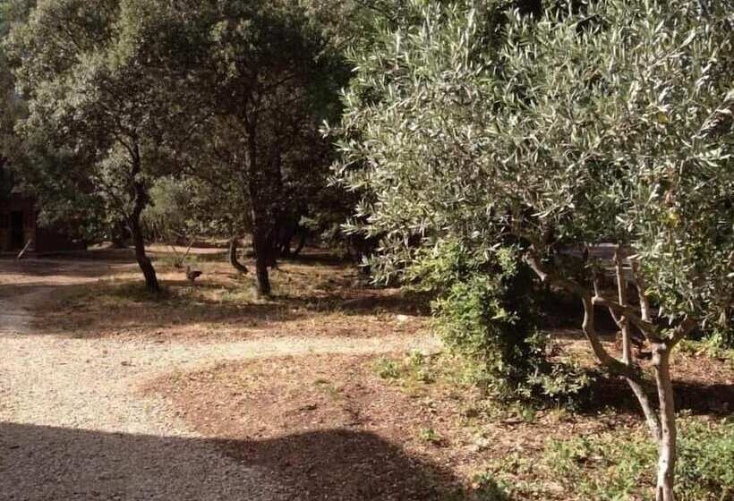 אתר נופש Le Domaine D Alezen