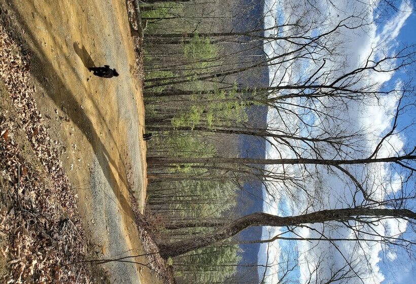 Smoky Mountain Lake View Cabin Bristol Tn