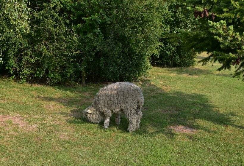 2 Bed 18th Century Barn   Sleeps 6   Pet Friendly