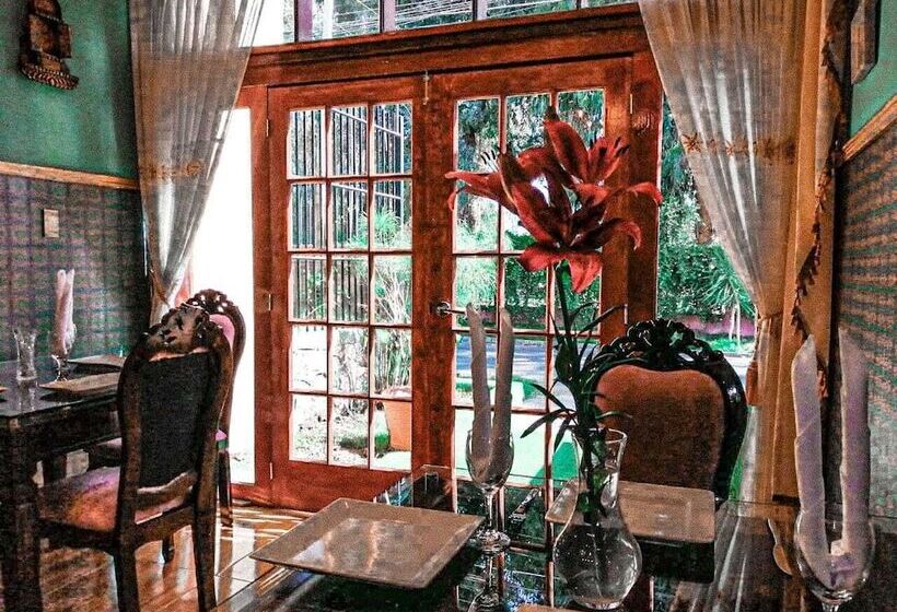 Gatsby Hotel Collection