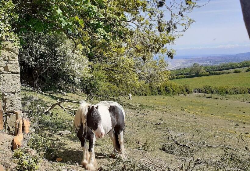 Henblas Holiday Cottage