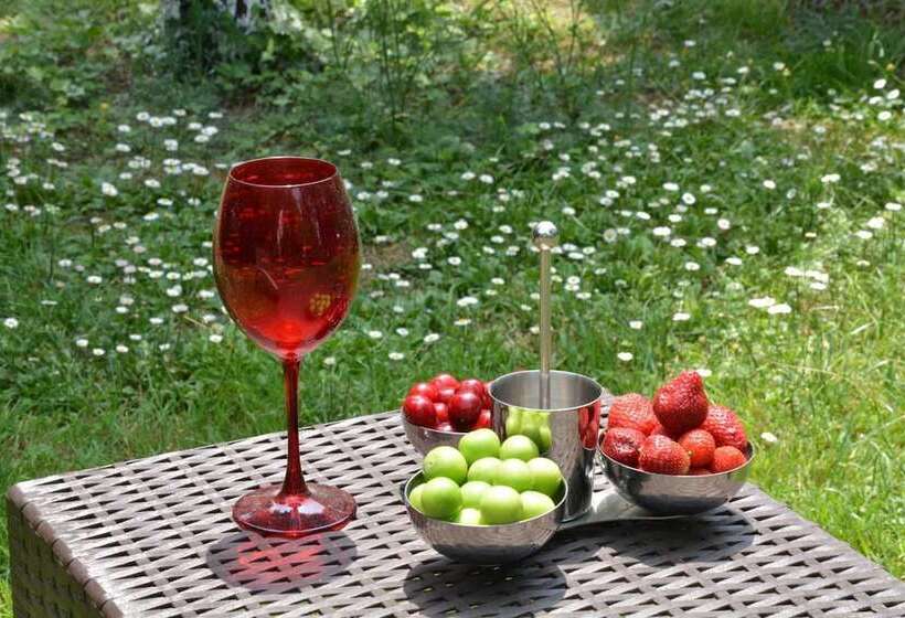 فندق Alex Village Life