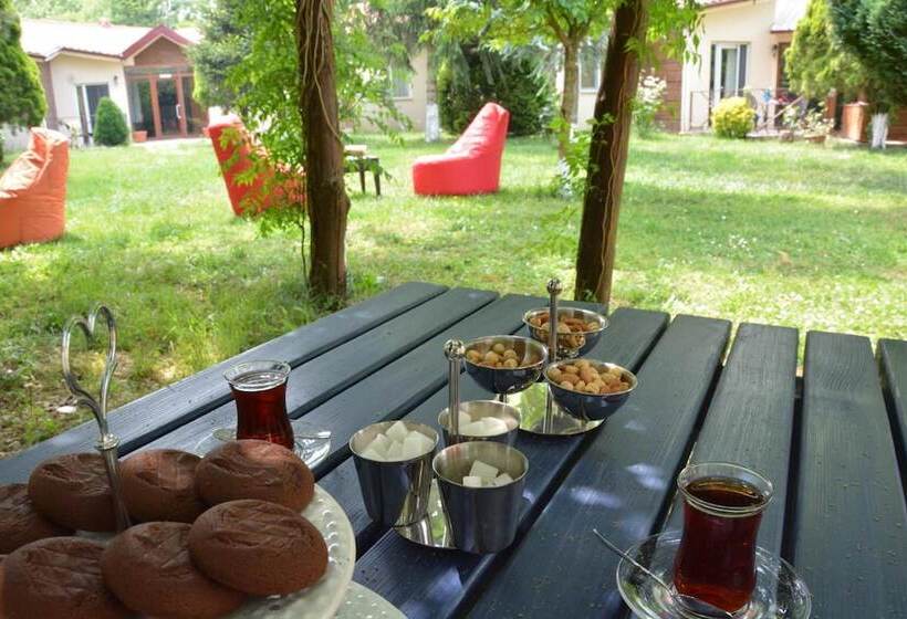 فندق Alex Village Life