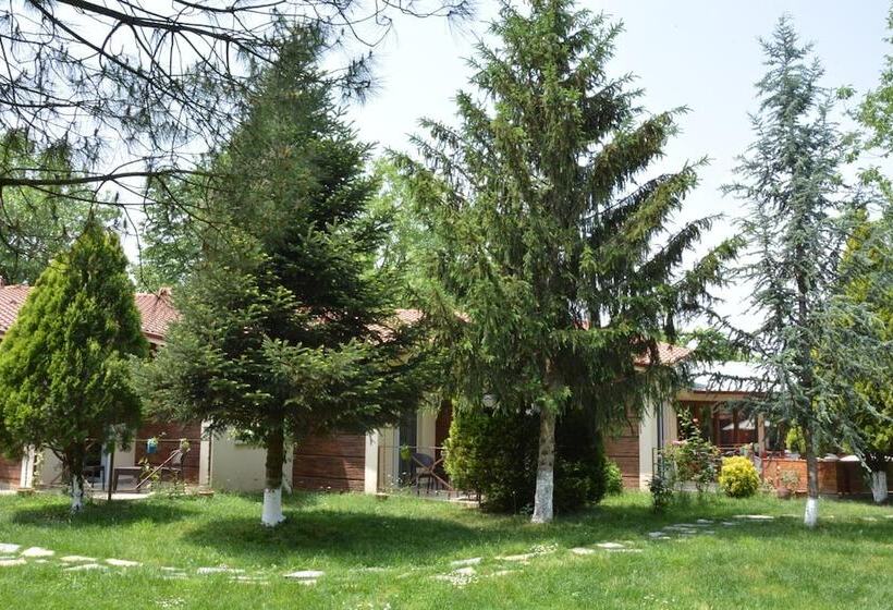 فندق Alex Village Life