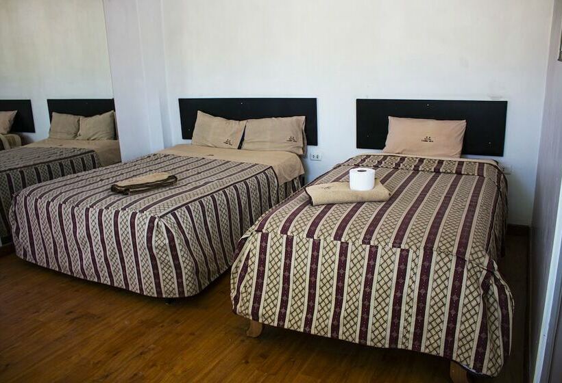 Отель Camino Real