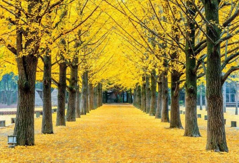 Hotel Crystal Valley Cc   Golden Village