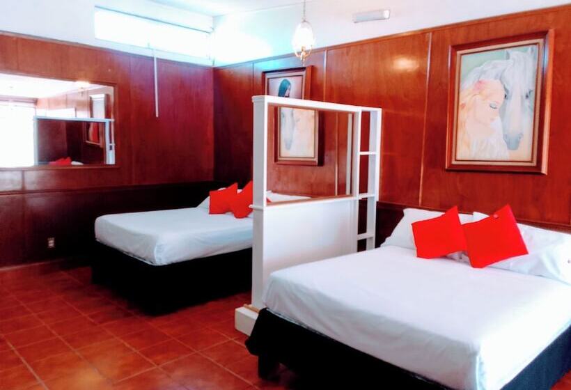 فندق San Antonios