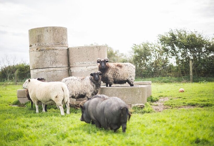 ペンション Hohenwarte