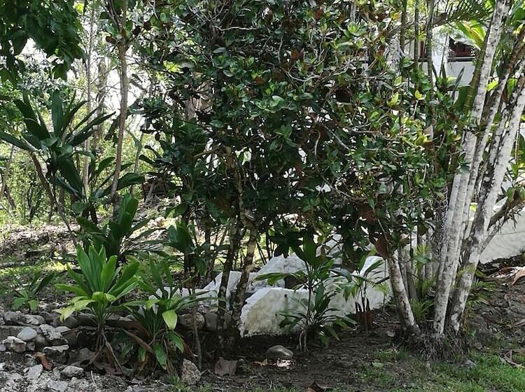 ペンション Manuel Antonio Comfort Casa Macaow