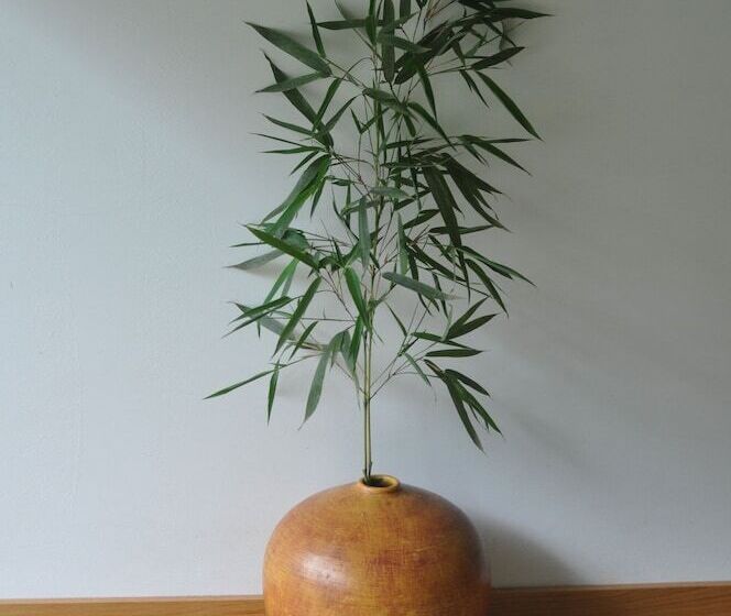 ペンション Room In B&b Paradise Is Real At Vale Martinho Zen