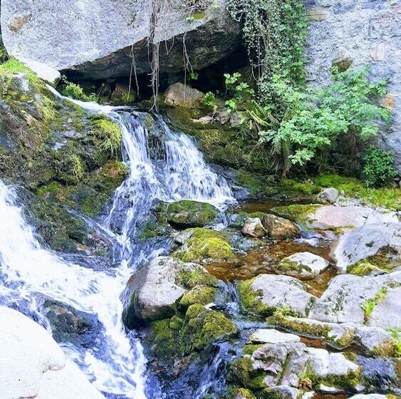 بنسيون Room In Guest Room   La Turr De Mezz Lca Nesso