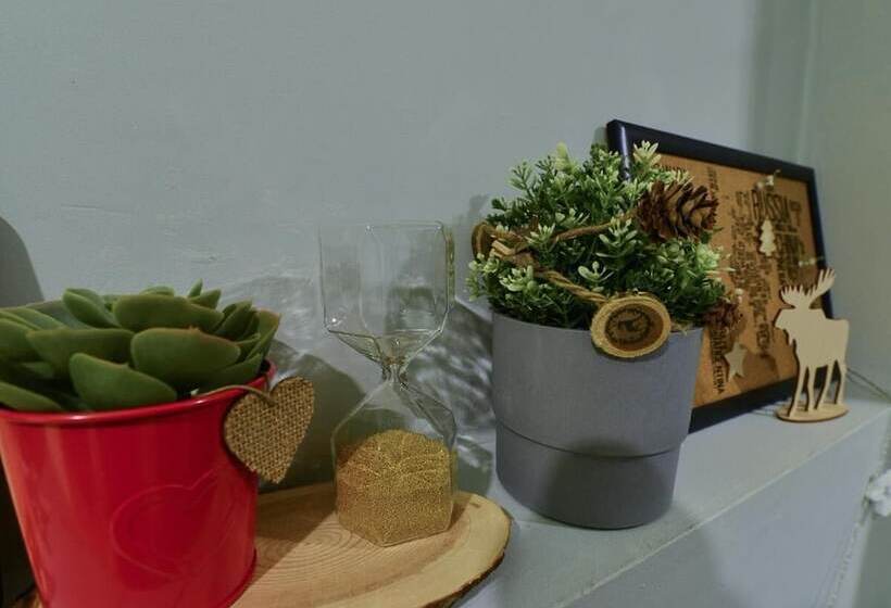 膳宿费 Scandi House