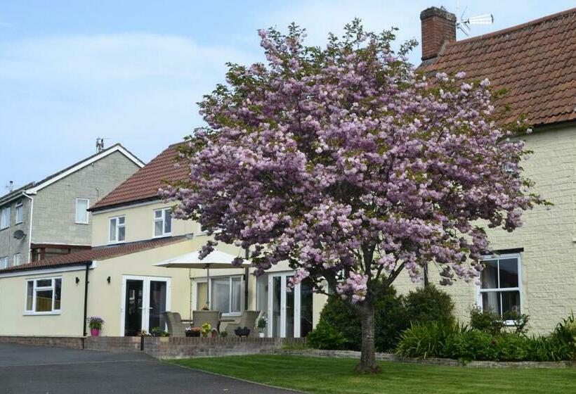 The Lawns Tea Room And B&b