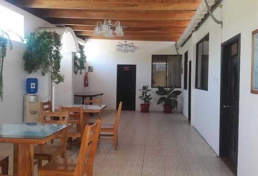 여관 La Mirada De Solitario George