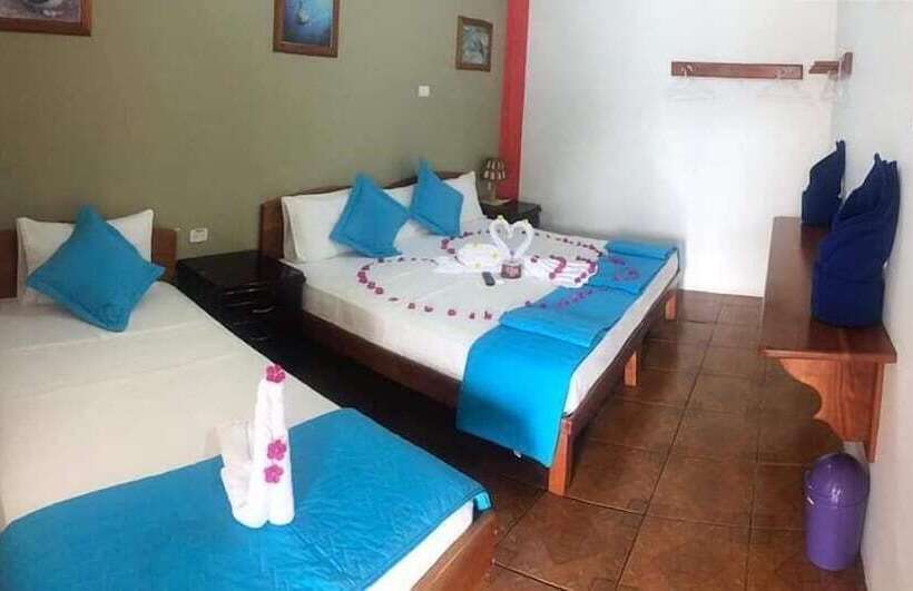 여관 La Mirada De Solitario George