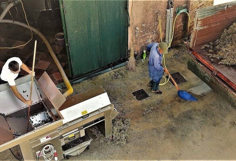 Отель Ancient Farmhouse With Winery Xiv Century