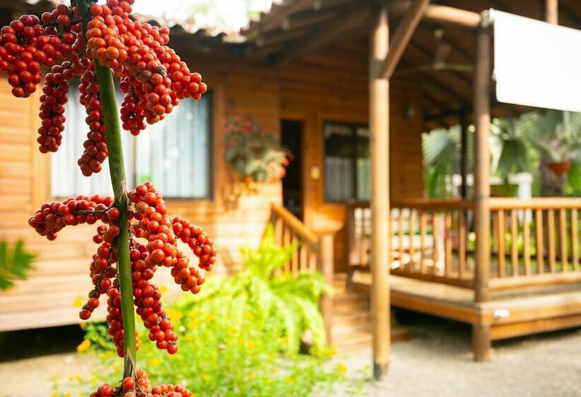 酒店 Casa Marcellino Lodge