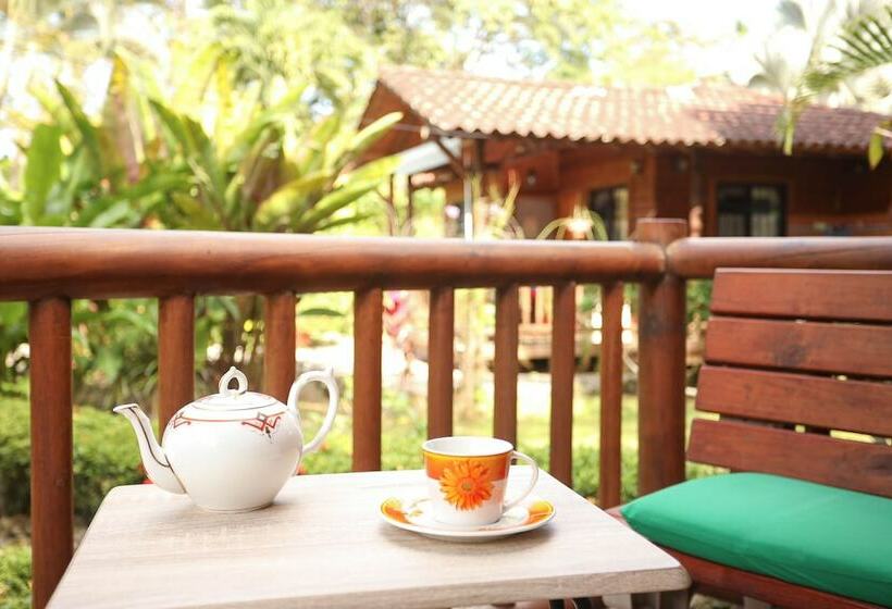 酒店 Casa Marcellino Lodge