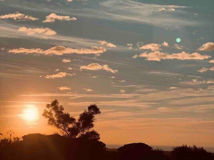 酒店 On Holiday Between Sky And Sea Geco Di Campiglia Pet Friendly Big Garden