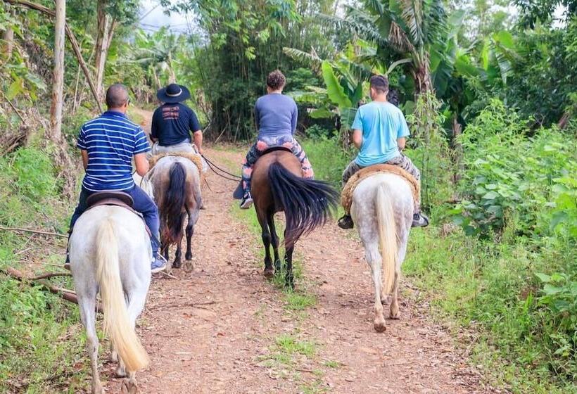فندق Chalés Vale Do Rio Do Boi