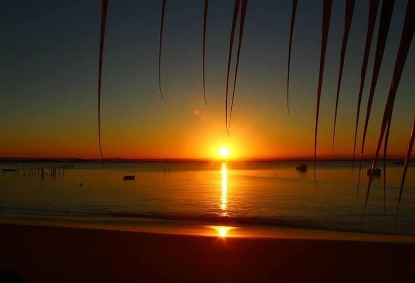 בית מלון כפרי Pousada Ponta Do Mutá