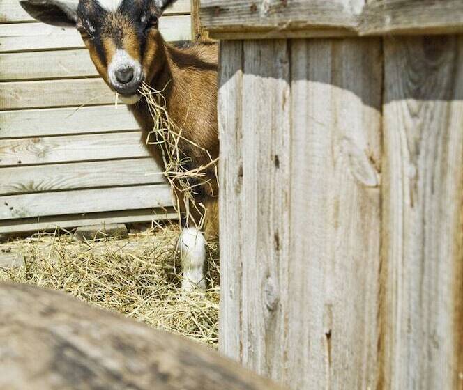 교외 호텔 Schwarzfelder Hof