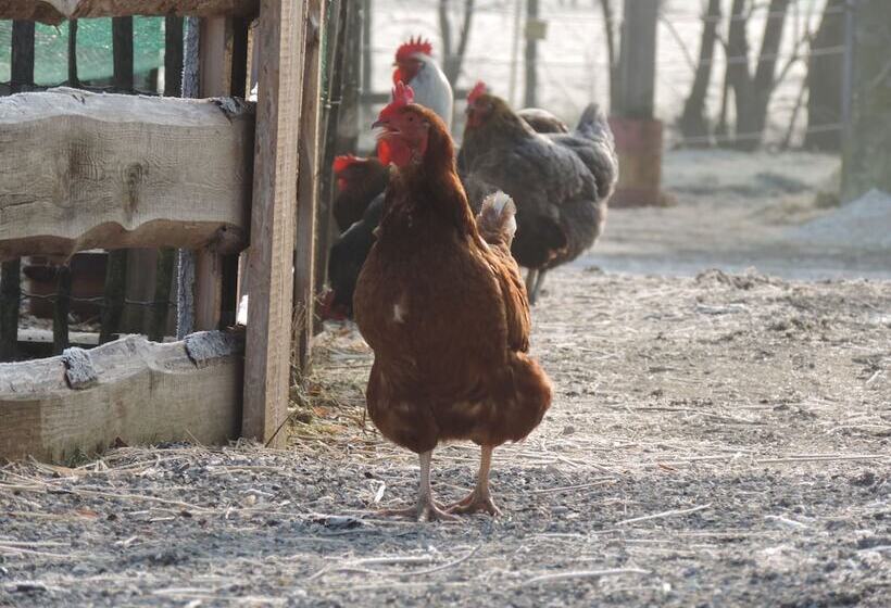 교외 호텔 Schwarzfelder Hof