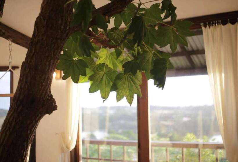 Tree House Hotel Morinosubako