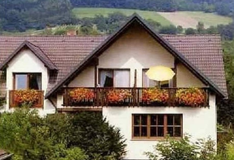 펜션 Ferienhaus Dierauf