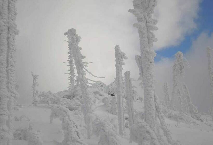 Пансион Gästehaus Schmalzreich