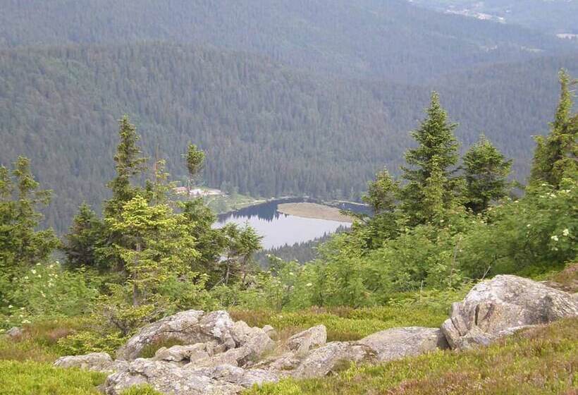 Пансион Gästehaus Schmalzreich