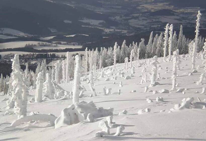 Пансион Gästehaus Schmalzreich