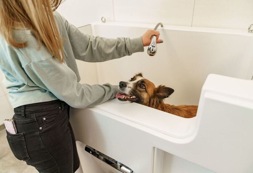 Almfrieden Hotel & Romantikchalet