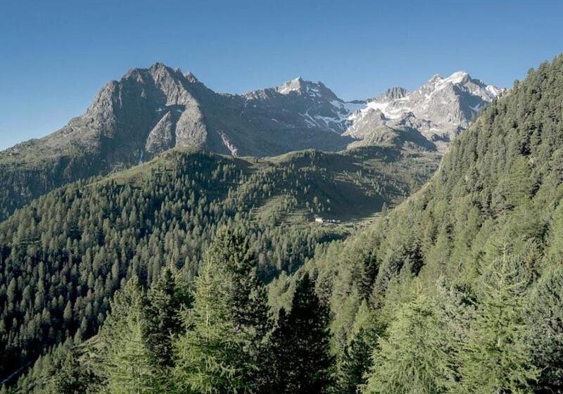 Appartement Breitlehn