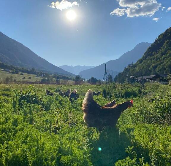 Appartements Griesserhof