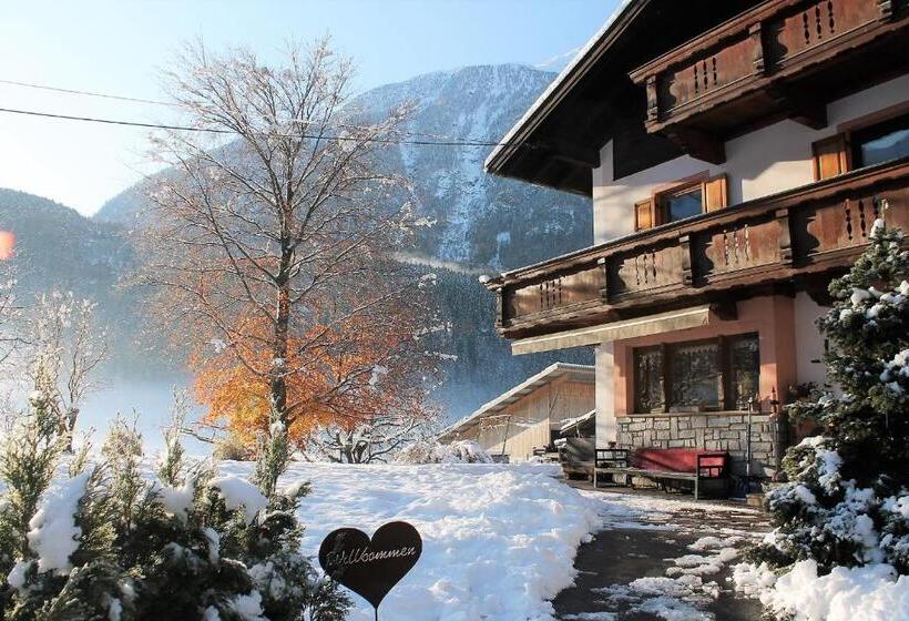 Appartements Griesserhof