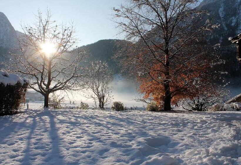 Appartements Griesserhof