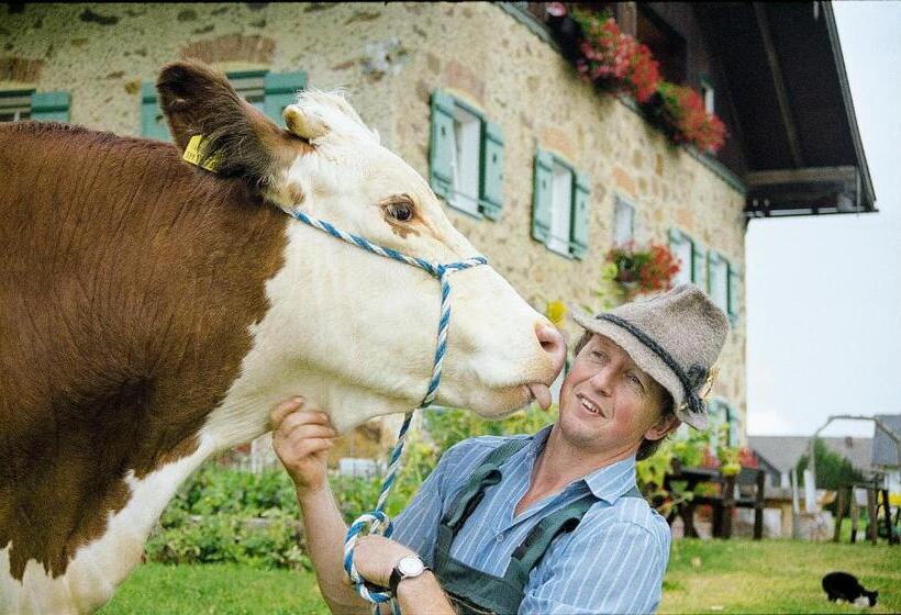 Baby  Und Kinderhof Aicherbauer