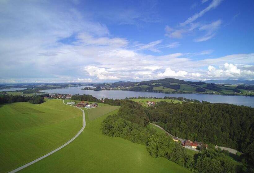 Baby  Und Kinderhof Aicherbauer