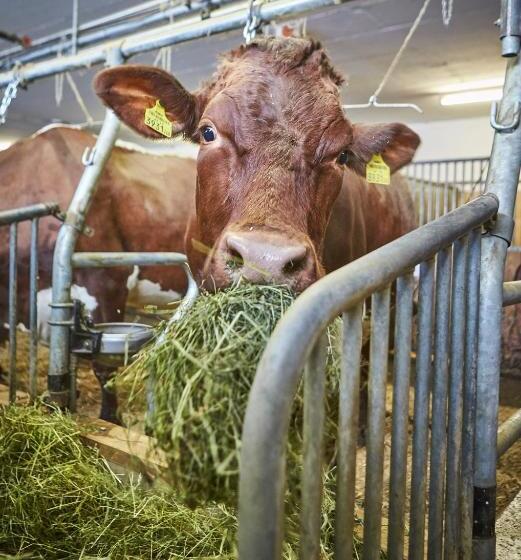 Bauernhof Hotel Oberschwarzach