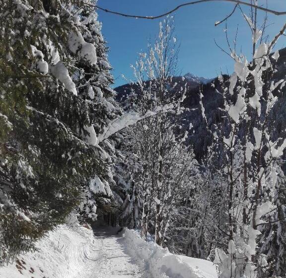 مبيت وإفطار Garni Haus Anita