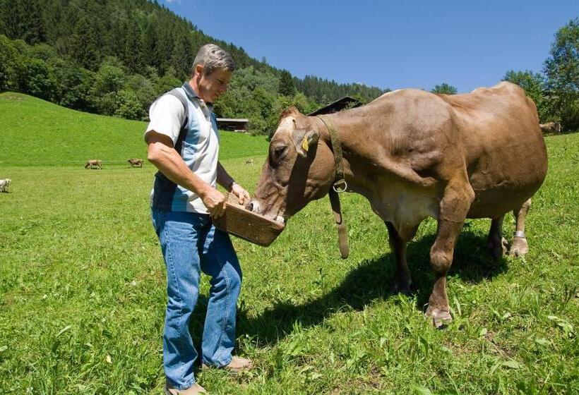 تختخواب و صبحانه Ladestatthof