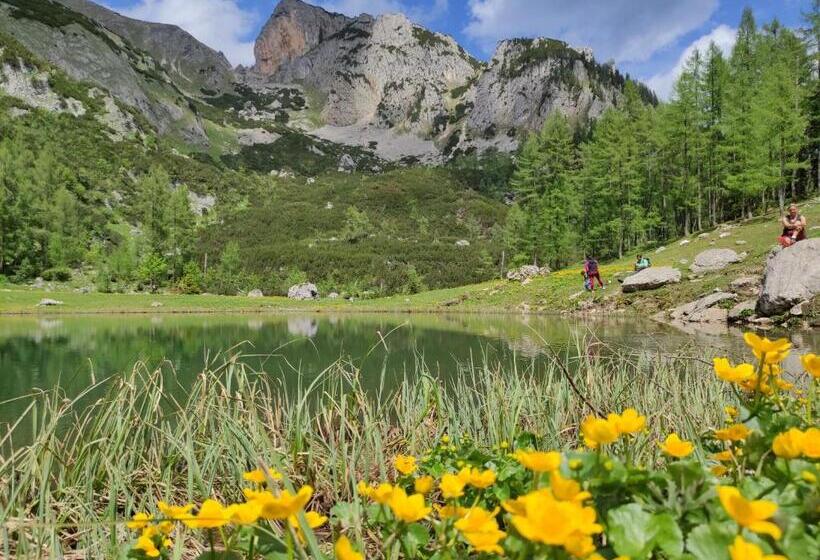 住宿加早餐  Landhaus Seebacher